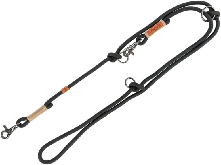 511BWjgxAZL. AC SL1080 Hundeweltte Die besten Hundeprodukte & Haustierangebote