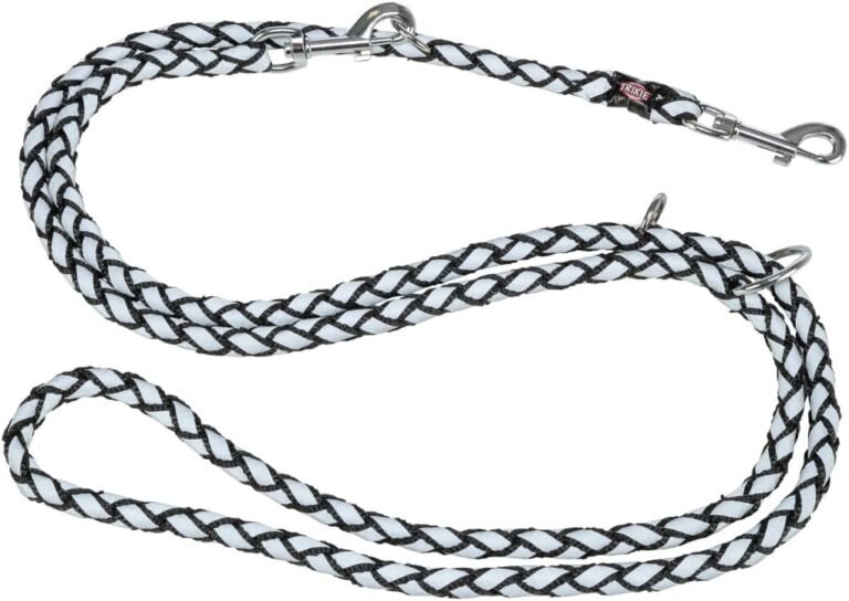 61N0L6tk5SL. AC SL1080 Hundeweltte Die besten Hundeprodukte & Haustierangebote