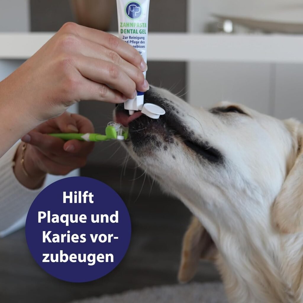Canosept Hundezahnpasta Dental Gel 100g – Effektive Zahnpflege gegen Plaque & Zahnstein, Hunde Zahnpasta bei Mundgeruch, schonende Zahncreme für Hunde 5 61cwiHS8nDL. AC SL1500 1 Hundeweltte Die besten Hundeprodukte & Haustierangebote