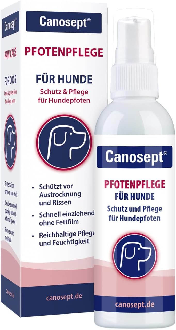 61frZKGRHoL. AC SL1500 Hundeweltte Die besten Hundeprodukte & Haustierangebote