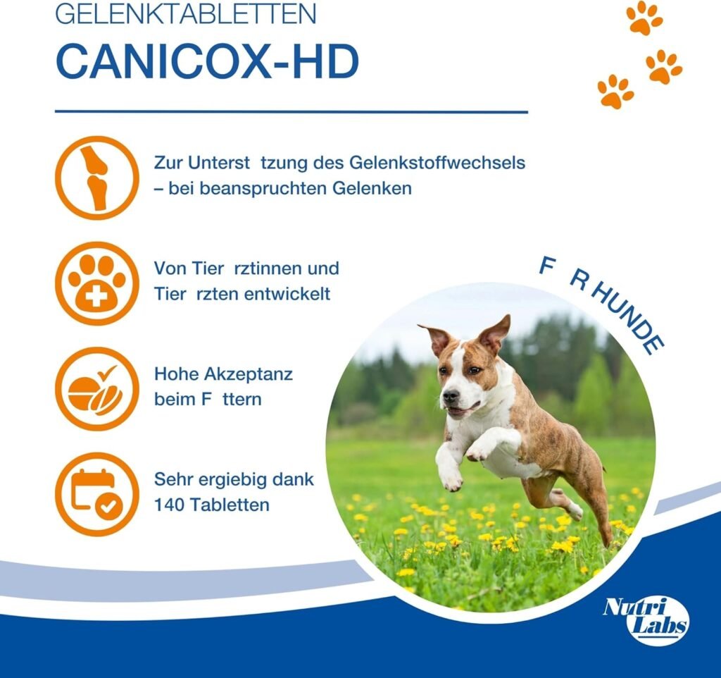 716Xtrv0eIL. AC SL1500 1 Hundeweltte Die besten Hundeprodukte & Haustierangebote