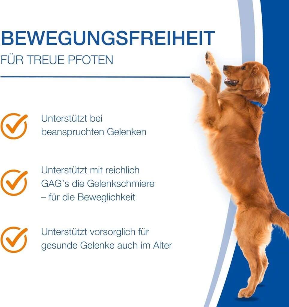 71Dn5jhVXL. AC SL1500 1 Hundeweltte Die besten Hundeprodukte & Haustierangebote