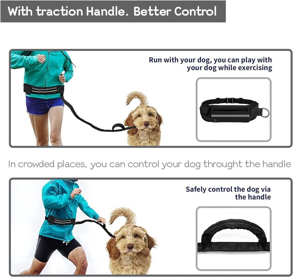 Edipets Premium Joggingleine für Hunde – Freihändig, Reflektierend, Anti-Stress Gurtband, 160–220 cm (Schwarz) 4 71GuFOihc4L. AC SL1500 2 Hundeweltte Die besten Hundeprodukte & Haustierangebote