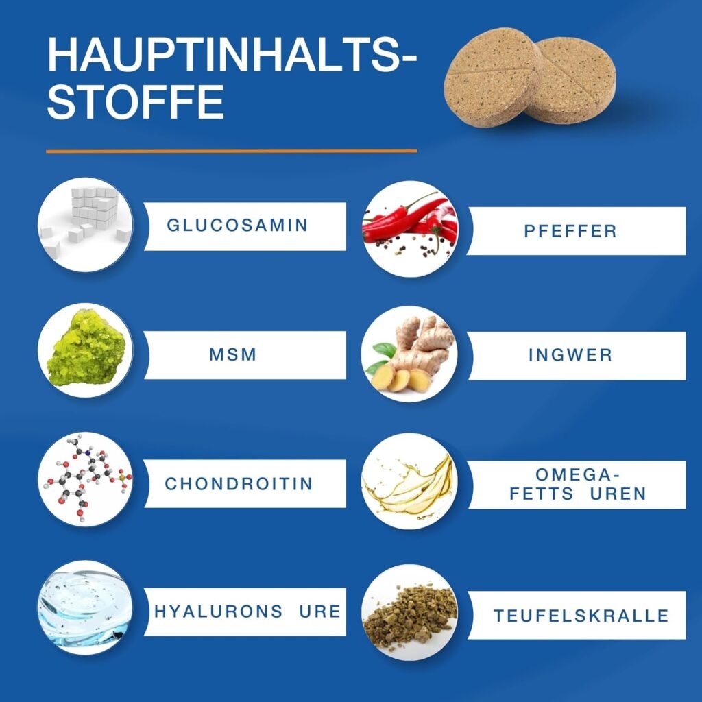 71XO6XoB7lL. AC SL1500 1 Hundeweltte Die besten Hundeprodukte & Haustierangebote