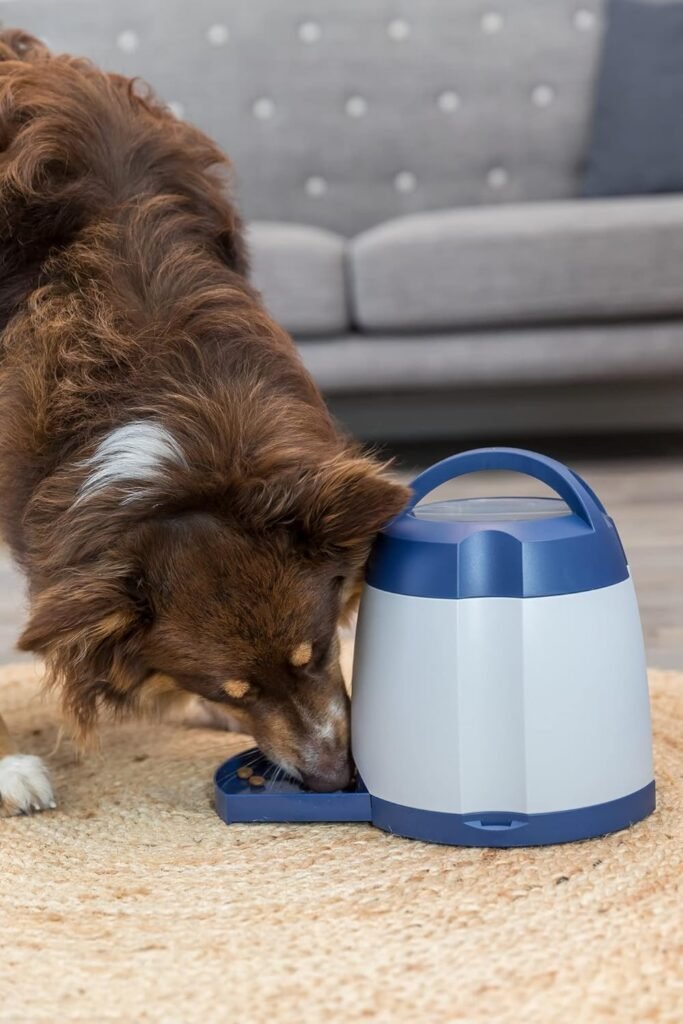 71Zerke6VBL. AC SL1500 1 Hundeweltte Die besten Hundeprodukte & Haustierangebote