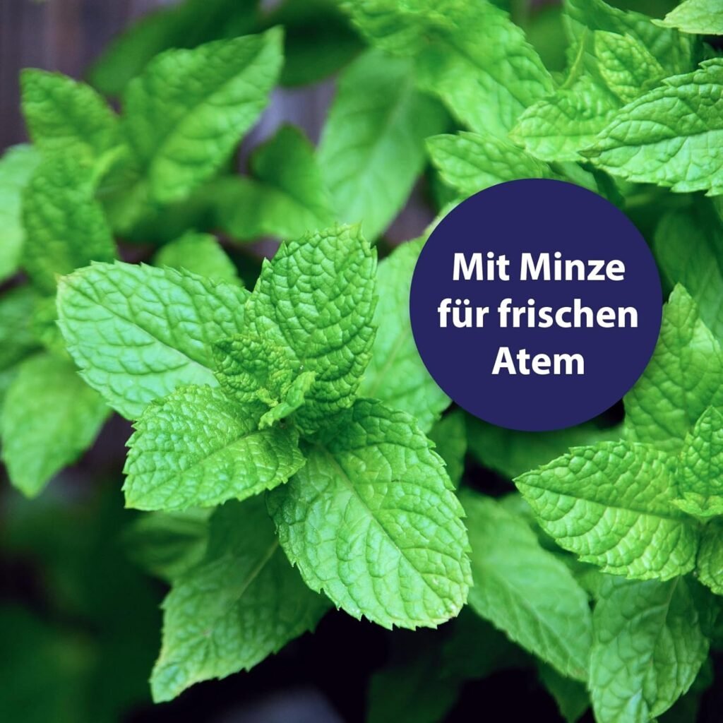 Canosept Hundezahnpasta Dental Gel 100g – Effektive Zahnpflege gegen Plaque & Zahnstein, Hunde Zahnpasta bei Mundgeruch, schonende Zahncreme für Hunde 4 71oqUr3mqTL. AC SL1500 1 Hundeweltte Die besten Hundeprodukte & Haustierangebote