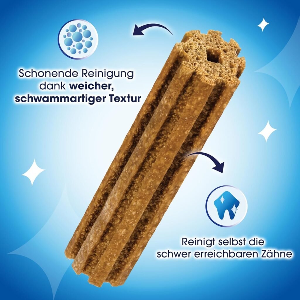 817CVIPqLzL. AC SL1500 1 Hundeweltte Die besten Hundeprodukte & Haustierangebote