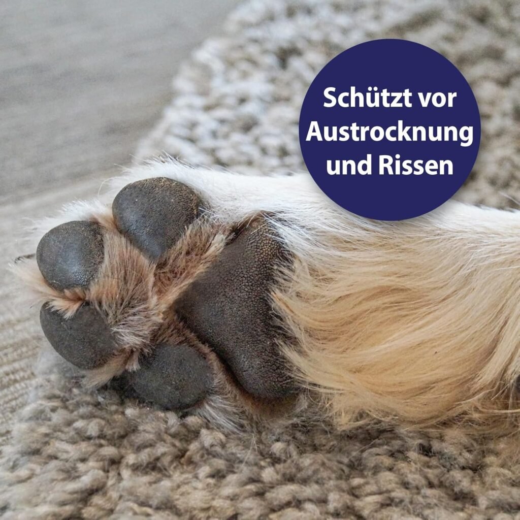 Ultimative Canosept Pfotenpflege für Hunde 75g – Pfotenbalsam für weiche & geschützte Pfoten bei jeder Wetterlage 4 81CMeDZG0aL. AC SL1500 2 Hundeweltte Die besten Hundeprodukte & Haustierangebote