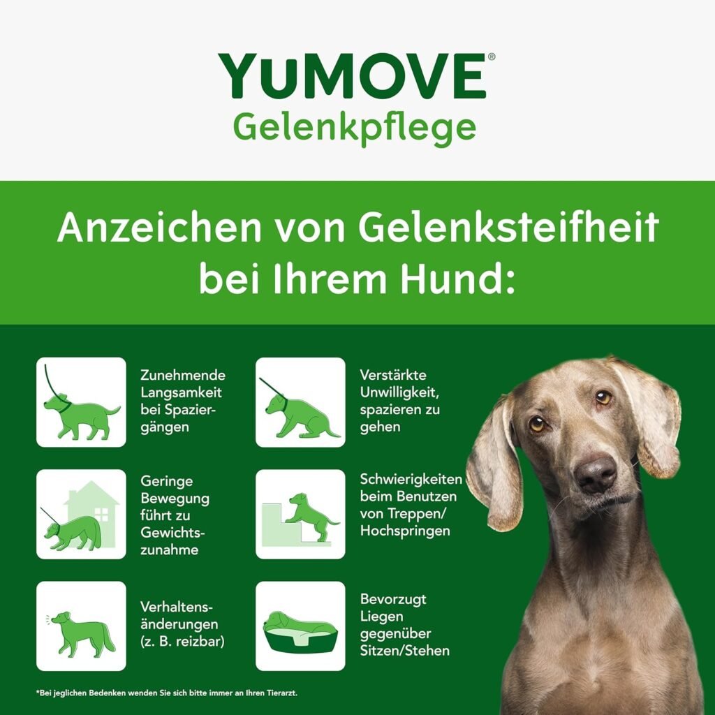 81ti52NgAbL. AC SL1500 1 Hundeweltte Die besten Hundeprodukte & Haustierangebote