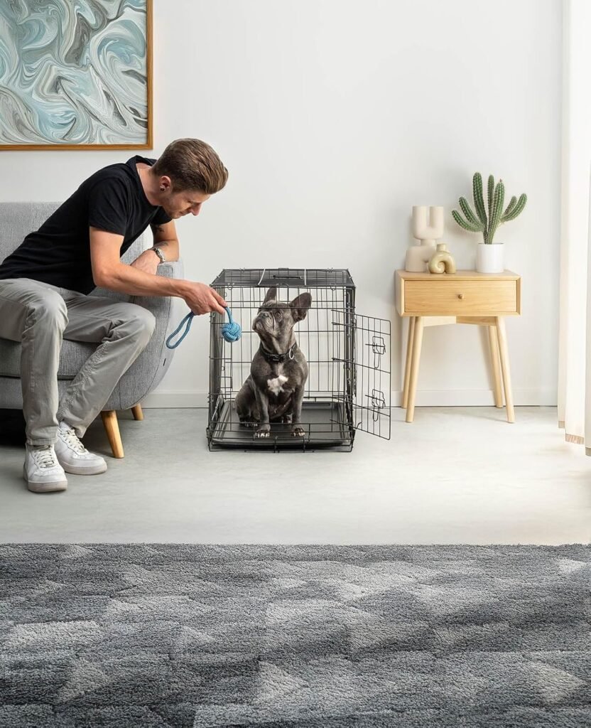 81yrqXHgOL. AC SL1500 1 Hundeweltte Die besten Hundeprodukte & Haustierangebote