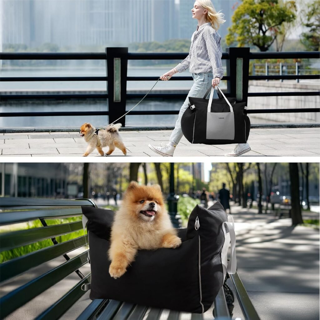 Ultimativer Lesure Hundesitz für Auto – kleine Hunde, wasserdicht, waschbar, mit Aufbewahrungstaschen, Sicherheitsleine & Memory-Schaum, 58x56x33 cm, schwarz 1 81zfh6aau L. AC SL1500 1 Hundeweltte Die besten Hundeprodukte & Haustierangebote