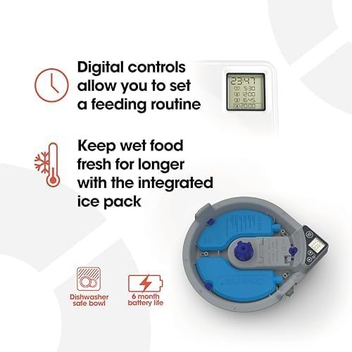 đŸ Cat Mate 365 Futterautomat â Ultimativer Ratgeber fĂŒr eine sichere & stressfreie FĂŒtterungCat Mate 365 Futterautomat 3 41o2ARFWrEL. AC 1 Hundeweltte Die besten Hundeprodukte & Haustierangebote