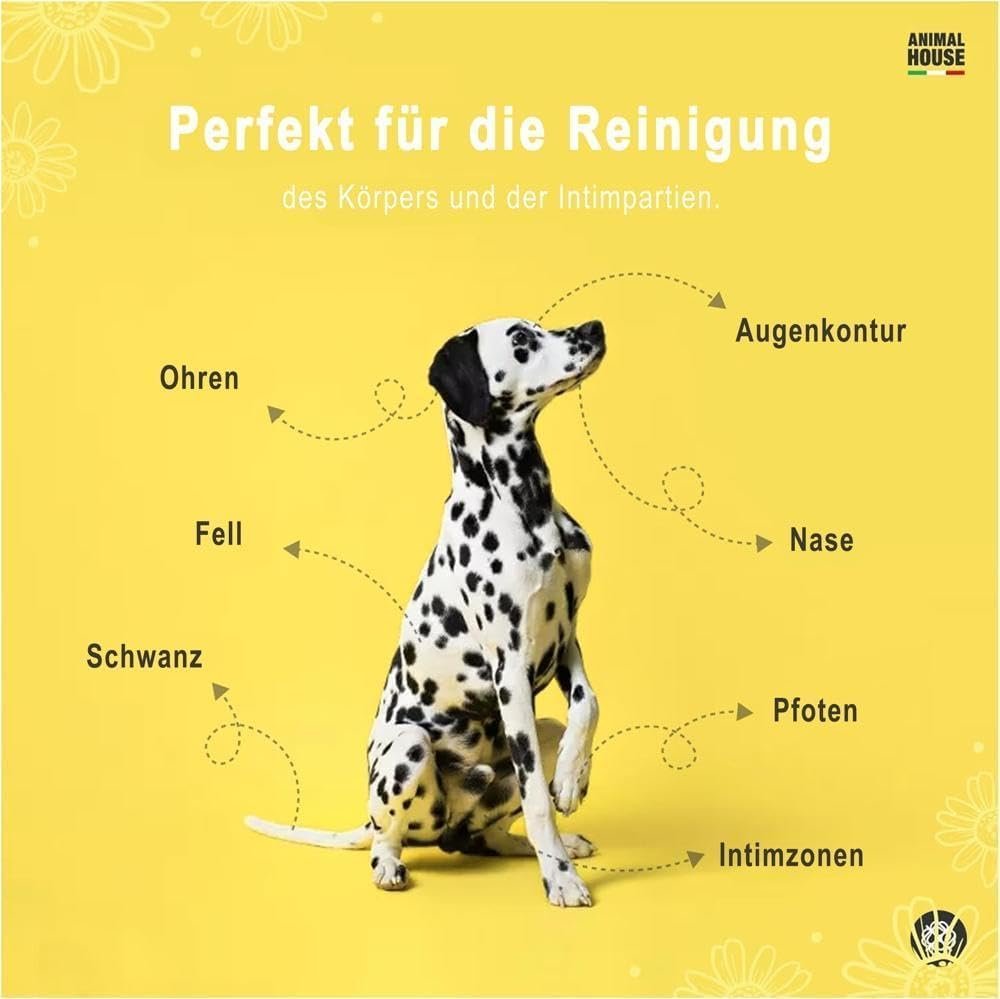 51LwhCGdhuL. AC SL1000 1 Hundeweltte Die besten Hundeprodukte & Haustierangebote