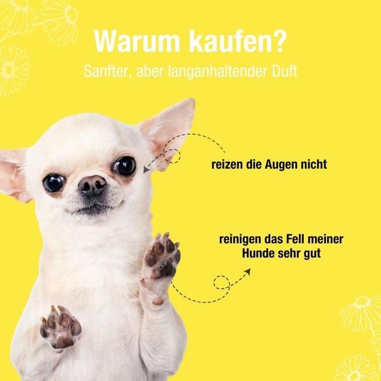 51e05hSNJjL. AC 1 Hundeweltte Die besten Hundeprodukte & Haustierangebote