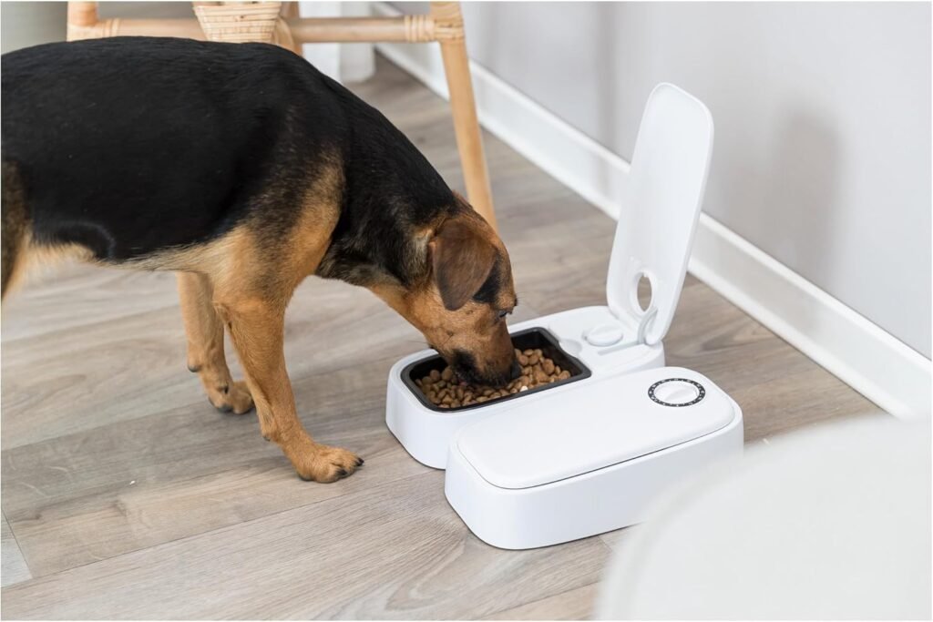 TRIXIE programmierbarer Futterspender Smartfeeder TX2 für Hunde & Katzen, 2×0,3 l 1 71WKAv3npKL. AC SL1500 1 Hundeweltte Die besten Hundeprodukte & Haustierangebote