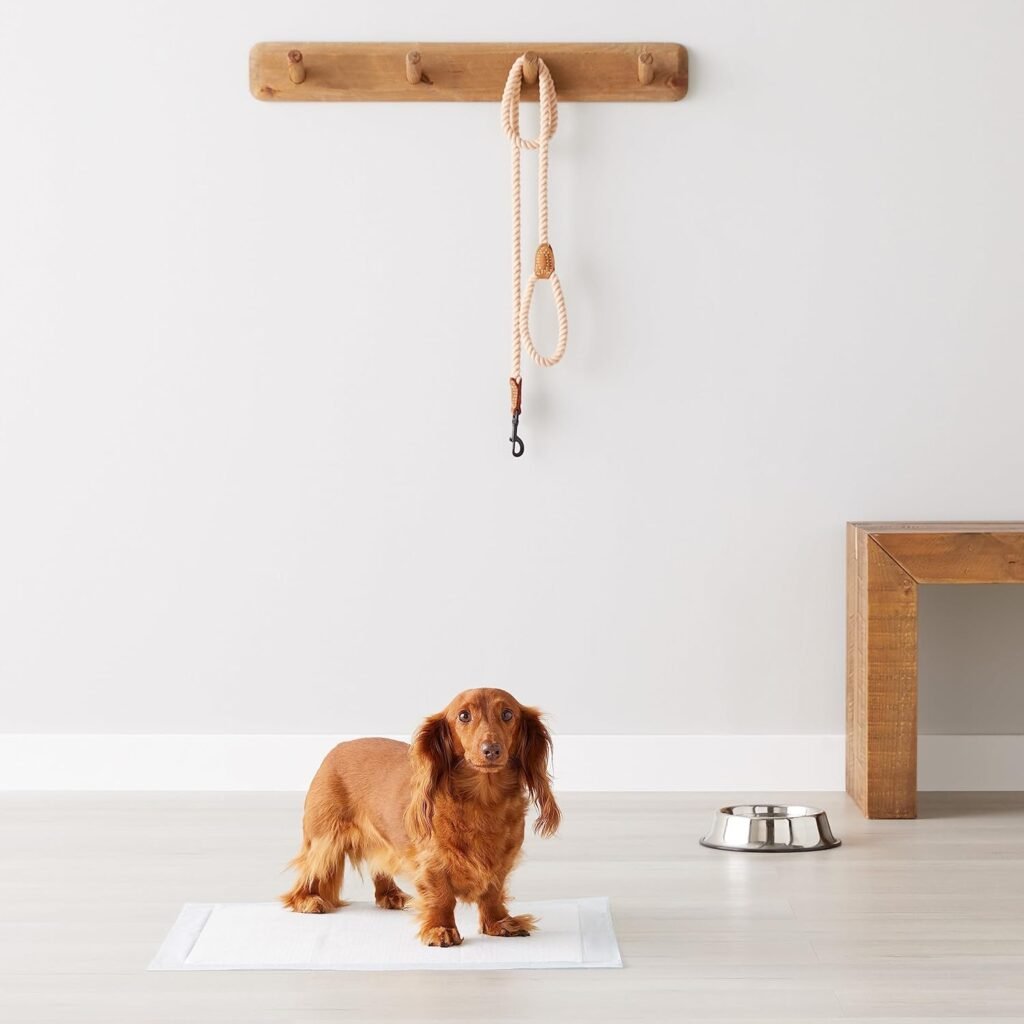 71gDiIaALEL. AC SL1500 1 Hundeweltte Die besten Hundeprodukte & Haustierangebote