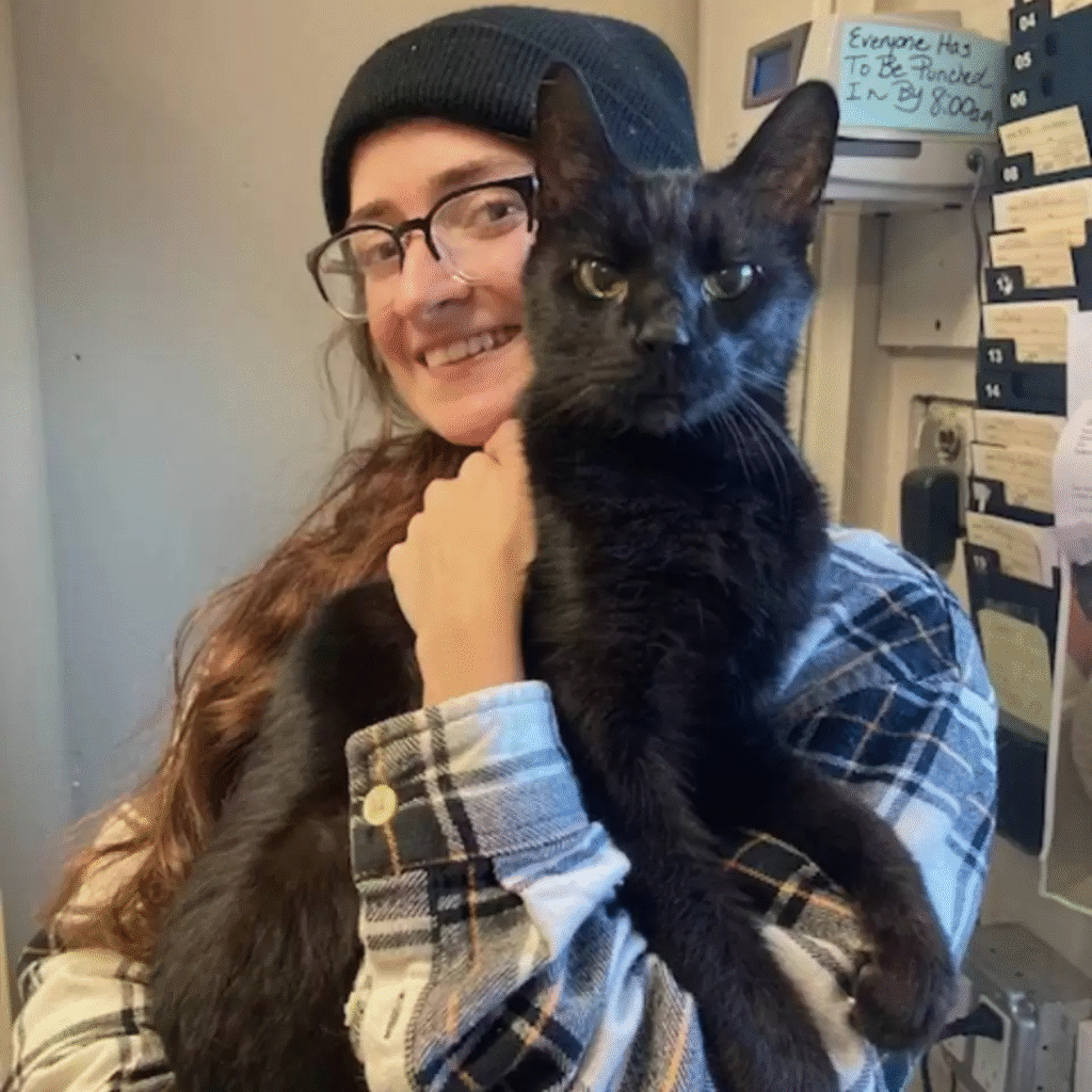 Untitled 1080 x 1080 px 29 Hundeweltte Die besten Hundeprodukte & Haustierangebote