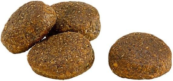 51eb0gmNRSL. AC 1 Hundeweltte Die besten Hundeprodukte & Haustierangebote