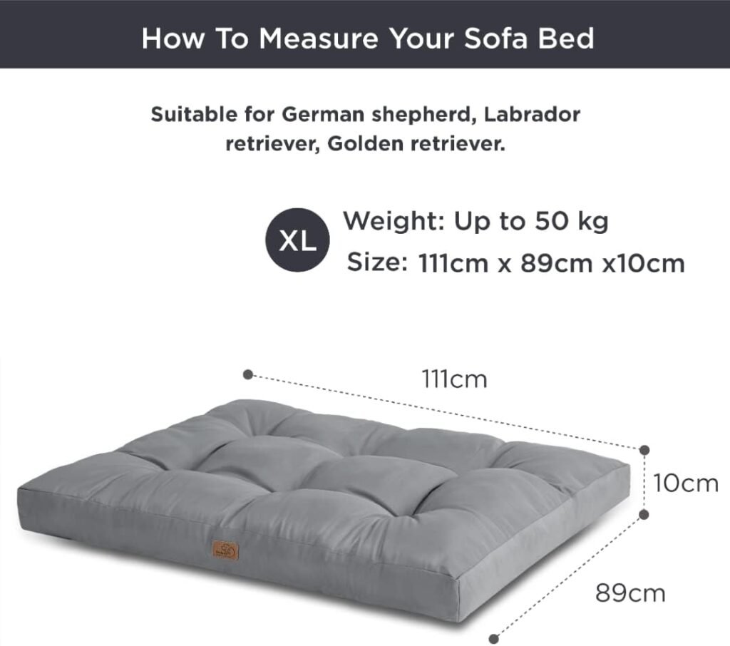 51n313fn5L. AC SL1080 1 Hundeweltte Die besten Hundeprodukte & Haustierangebote