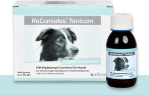 Appetitanregendes flüssiges Ergänzungsfutter für Hunde bei Untergewicht & Rekonvaleszenz. Hohe Akzeptanz, leicht verdaulich – jetzt entdecken.