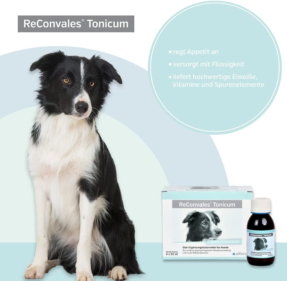 61L1gE0vAcL. AC SL1000 1 1 Hundeweltte Die besten Hundeprodukte & Haustierangebote