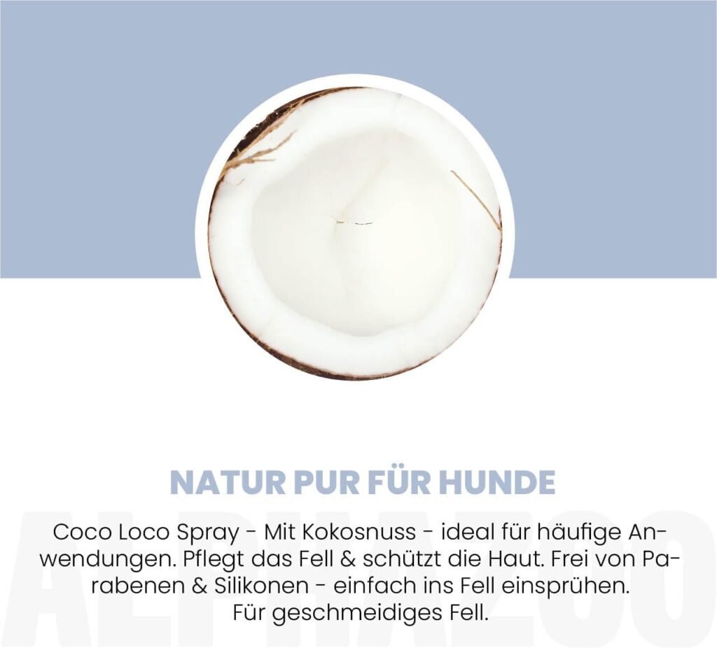 61cp0nYq1OL. AC SL1280 1 Hundeweltte Die besten Hundeprodukte & Haustierangebote