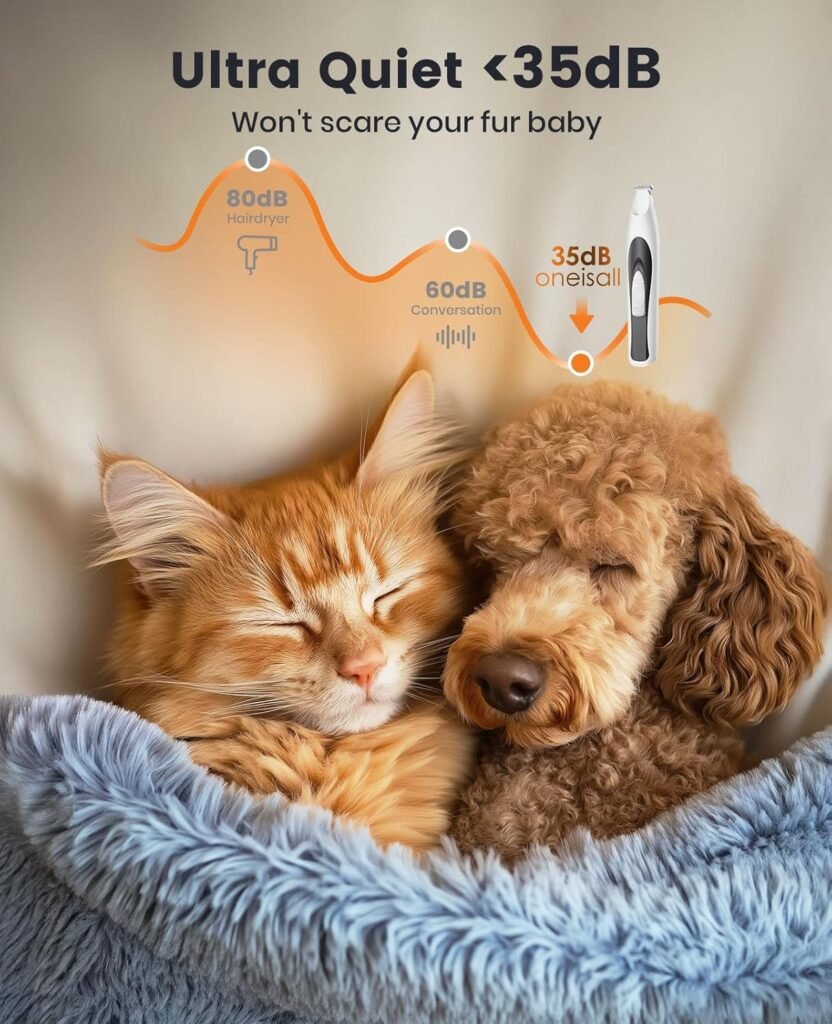 71ATJU JQcL. AC SL1500 1 Hundeweltte Die besten Hundeprodukte & Haustierangebote