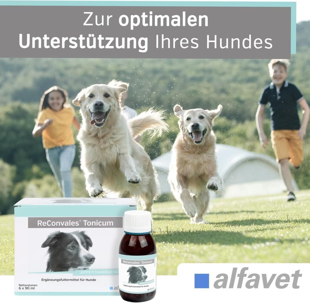 71ICLvrpgfL. AC SL1500 1 Hundeweltte Die besten Hundeprodukte & Haustierangebote