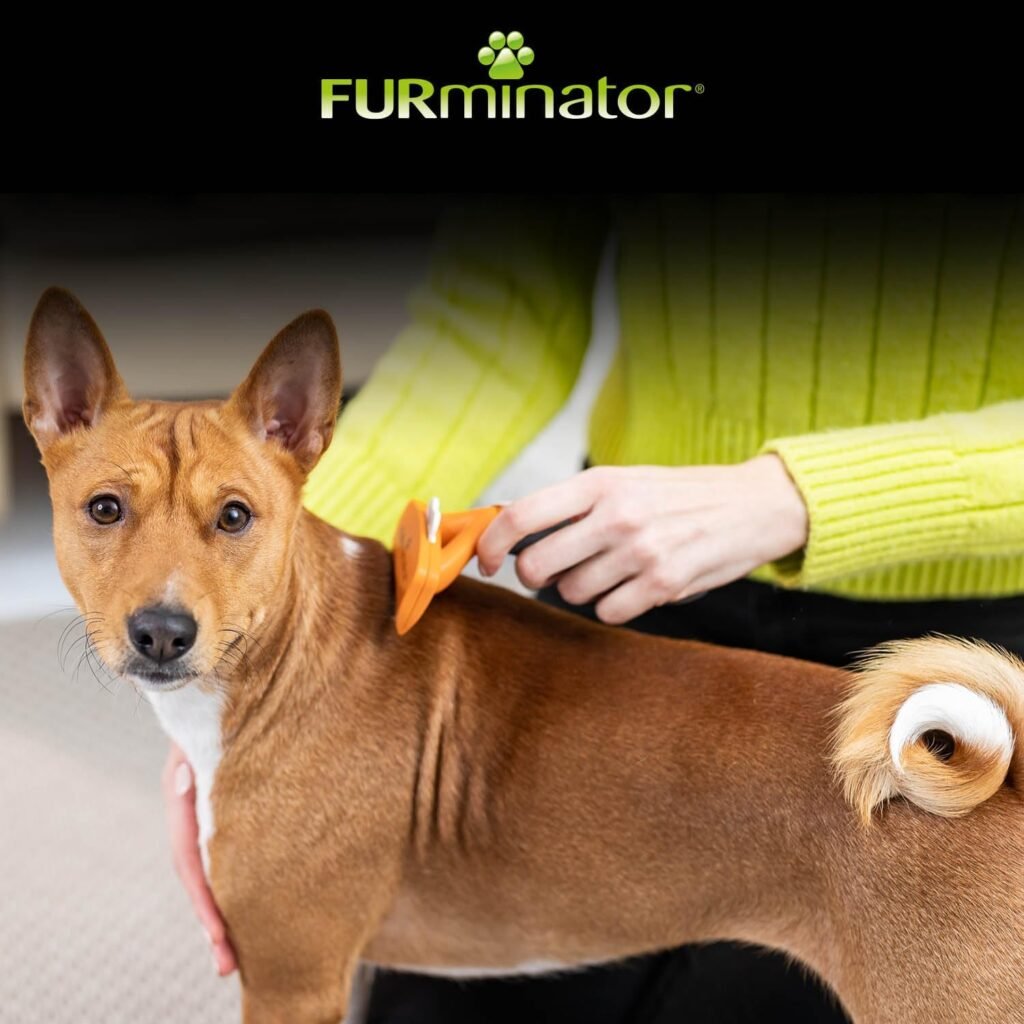 FURminator deShedding-Tool Hund Größe M Kurzhaar – Ultimative Lösung gegen Unterwolle 4 71QoECcVbvL. AC SL1500 1 Hundeweltte Die besten Hundeprodukte & Haustierangebote