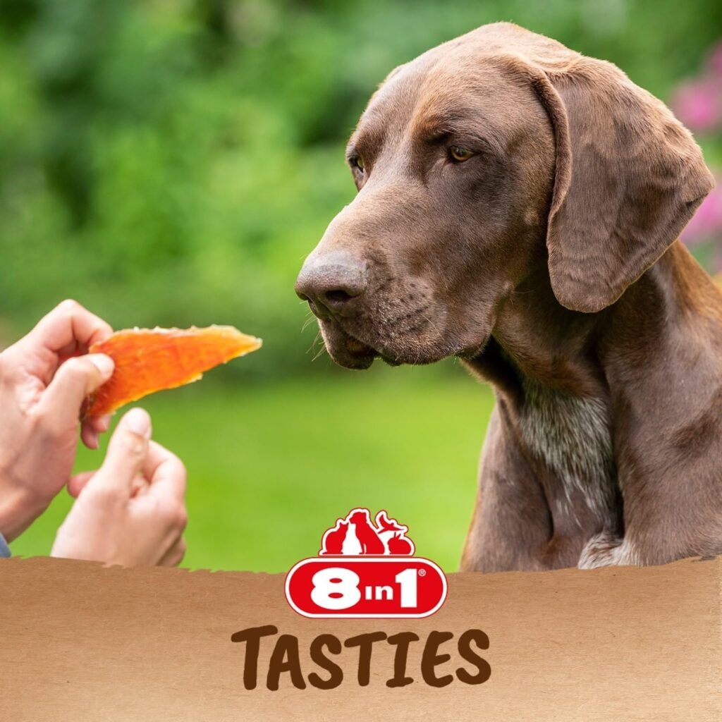 8in1 Tasties Chicken Breasts Hunde-Snack – Premium, getreidefreie Hähnchen-Leckerlis 1 71Rvt41RHL. AC SL1500 1 Hundeweltte Die besten Hundeprodukte & Haustierangebote