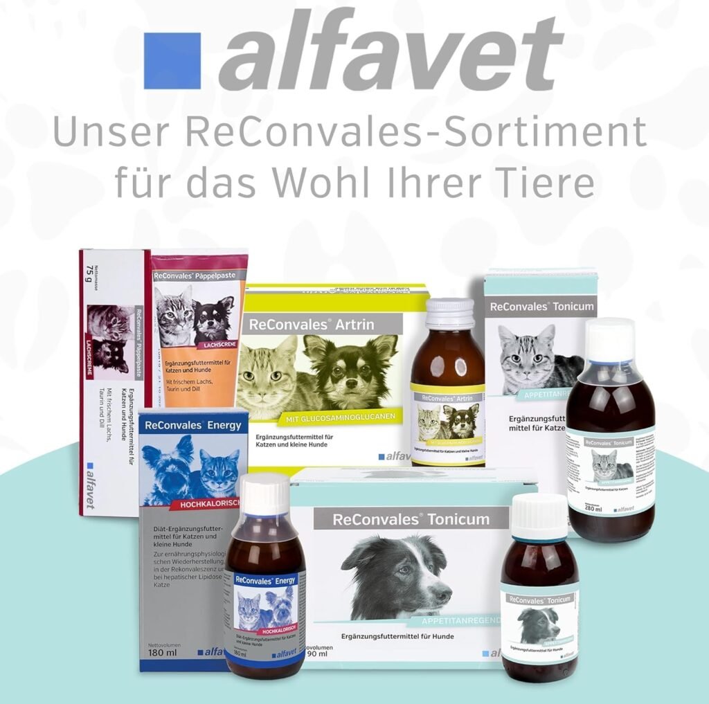 71Yp4PJ2mxL. AC SL1500 1 Hundeweltte Die besten Hundeprodukte & Haustierangebote