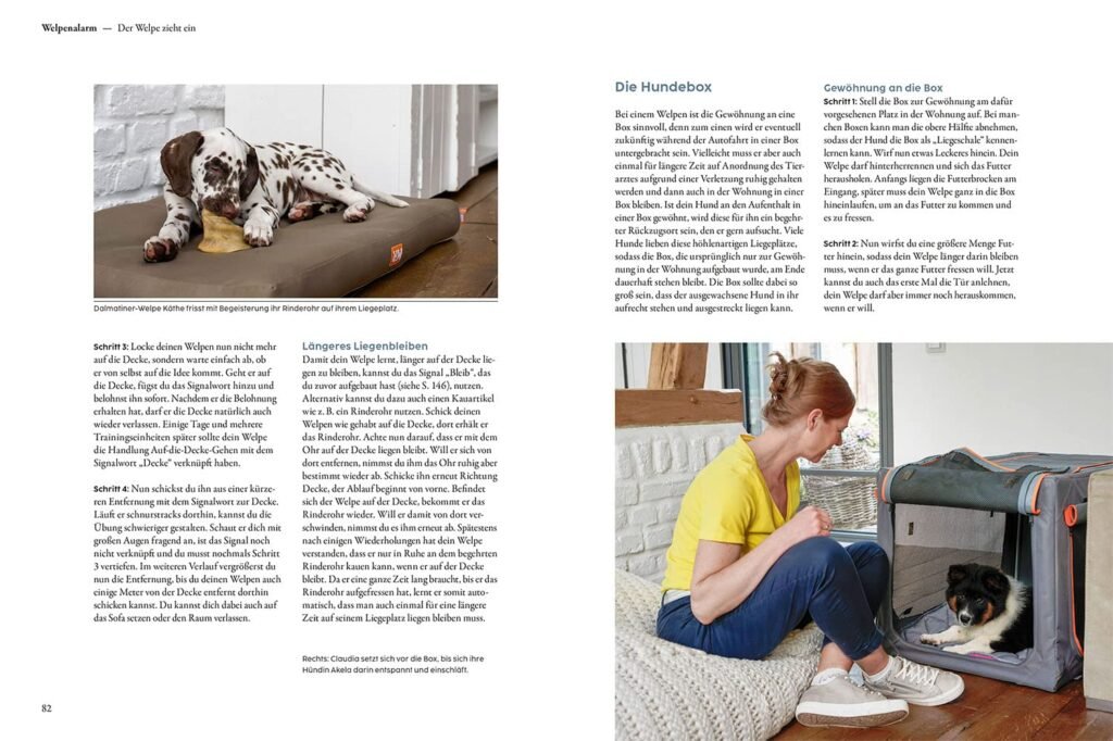 71a23qFD68L. SL1500 1 Hundeweltte Die besten Hundeprodukte & Haustierangebote