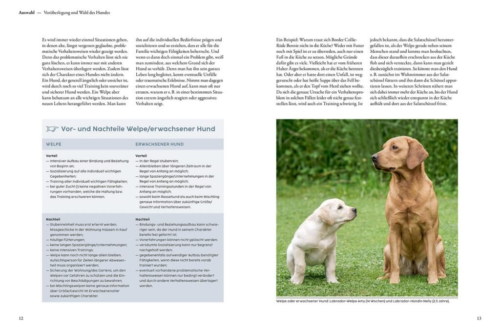 71kEDEFaWL. SL1500 1 Hundeweltte Die besten Hundeprodukte & Haustierangebote