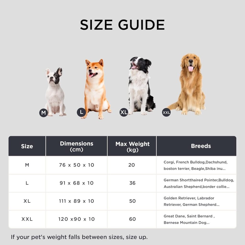 71wv9yuqPmL. AC SL1500 1 Hundeweltte Die besten Hundeprodukte & Haustierangebote