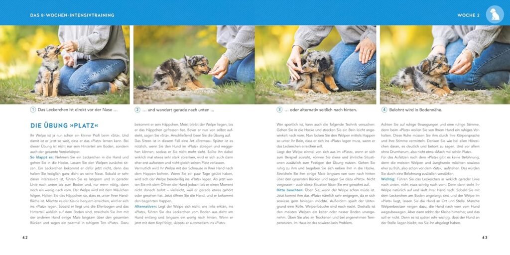 8144EnJJtL. SL1500 1 Hundeweltte Die besten Hundeprodukte & Haustierangebote