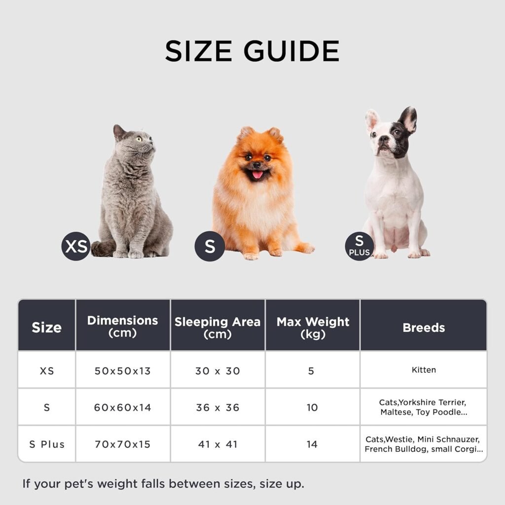 816mLJnDIAL. AC SL1500 1 Hundeweltte Die besten Hundeprodukte & Haustierangebote