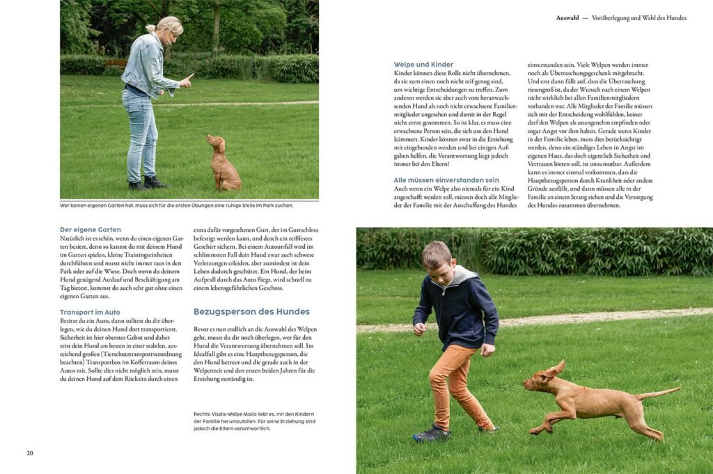 81DanPh7CyL. SL1500 1 Hundeweltte Die besten Hundeprodukte & Haustierangebote