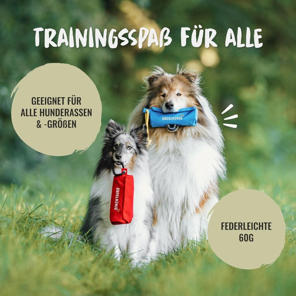 81LuKooCE1L. AC SL1500 1 Hundeweltte Die besten Hundeprodukte & Haustierangebote