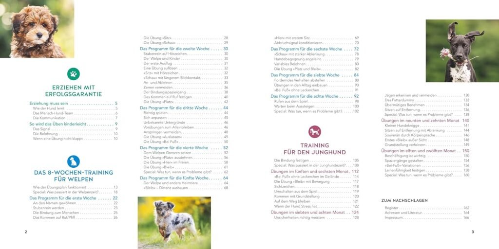 81SResOmumL. SL1500 1 Hundeweltte Die besten Hundeprodukte & Haustierangebote