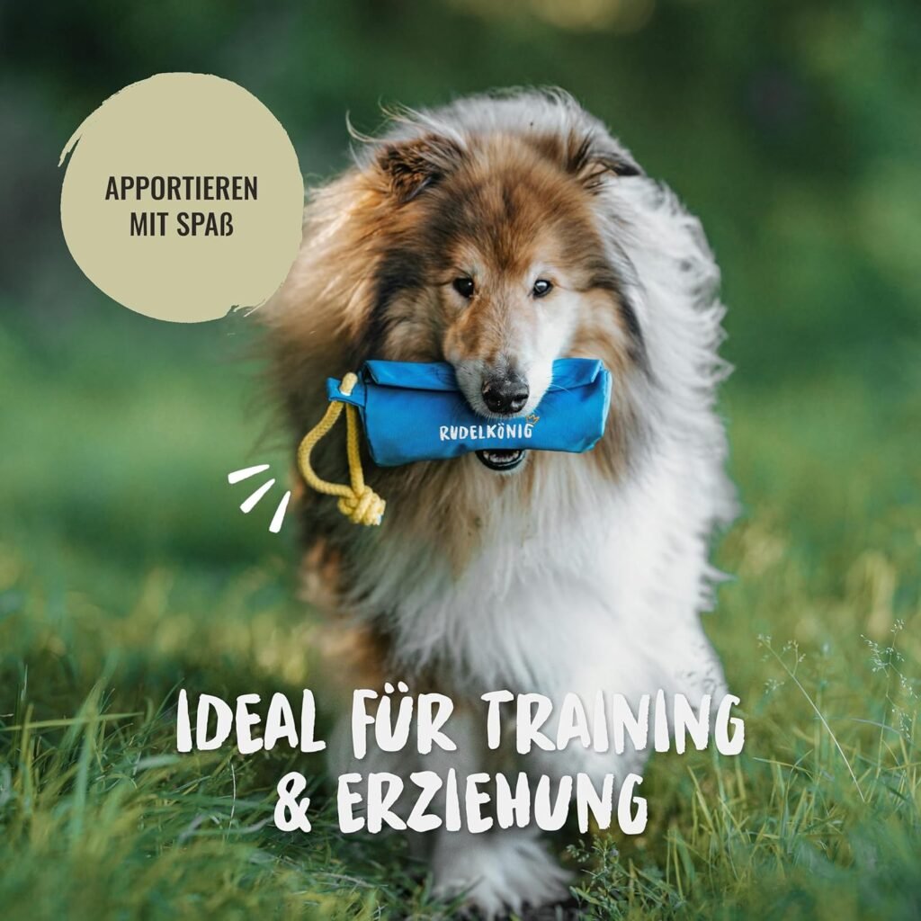 81ZlUaVPHSL. AC SL1500 1 Hundeweltte Die besten Hundeprodukte & Haustierangebote