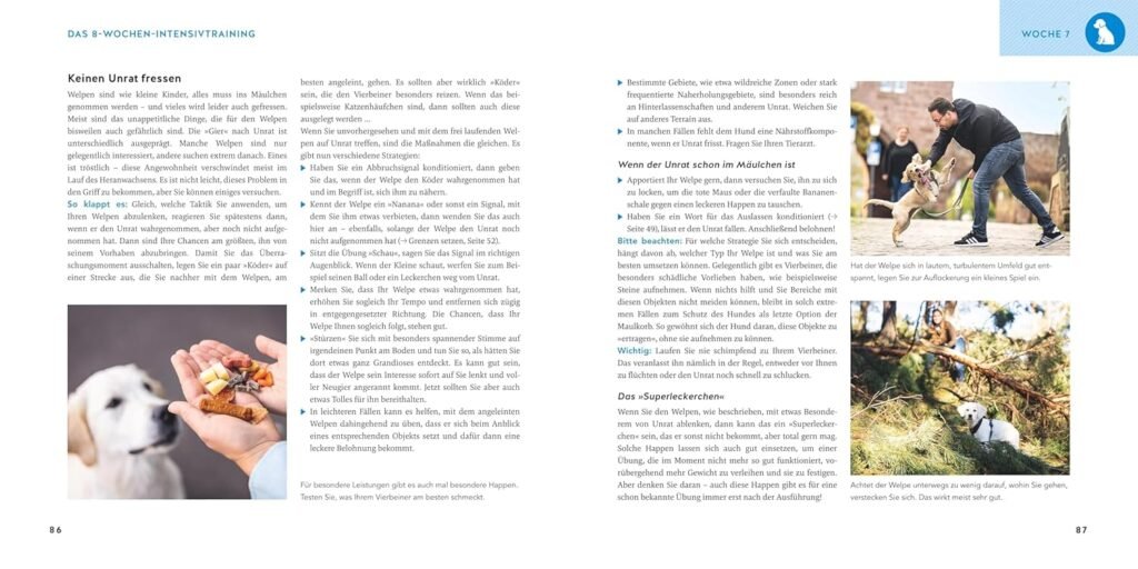 81obmPj52BL. SL1500 1 Hundeweltte Die besten Hundeprodukte & Haustierangebote