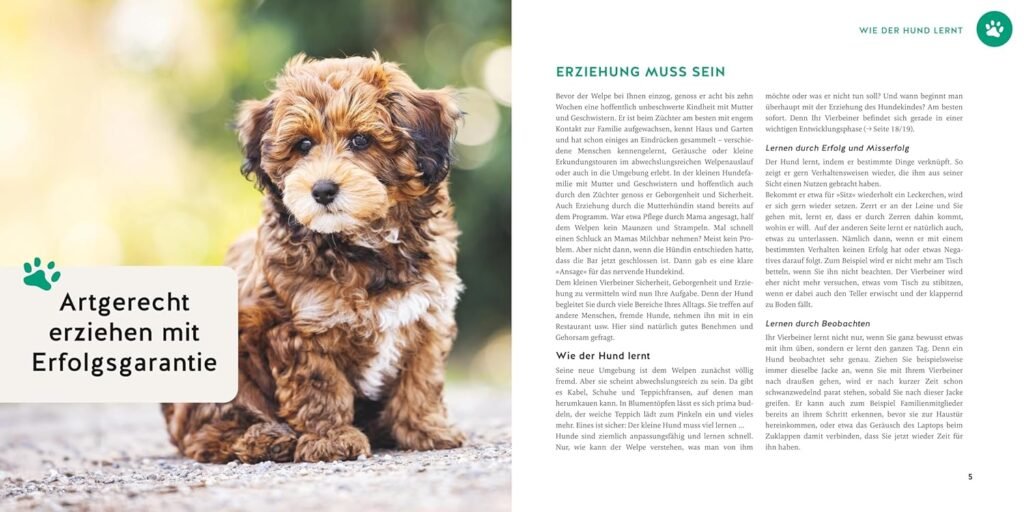 81wSYUJ0LQL. SL1500 1 Hundeweltte Die besten Hundeprodukte & Haustierangebote