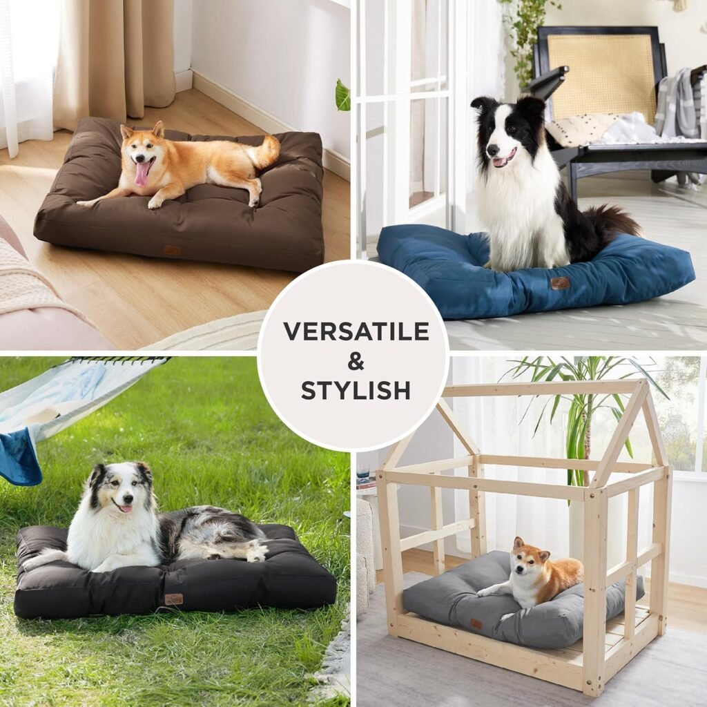 912GFeRjRsL. AC SL1500 1 Hundeweltte Die besten Hundeprodukte & Haustierangebote