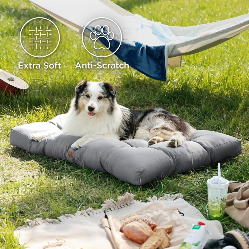 91WAX EP EL. AC SL1500 1 Hundeweltte Die besten Hundeprodukte & Haustierangebote