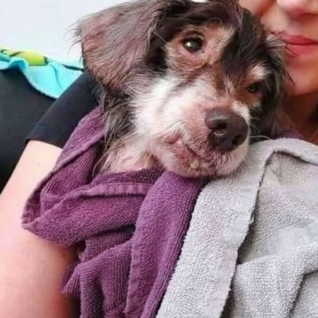 lange nicht gewusst, dass ich leben darf – Die ergreifende, wahre Geschichte einer unglaublichen Rettung 1 lange nicht gewusst, dass ich leben darf – Die ergreifende, wahre Geschichte einer unglaublichen Rettung