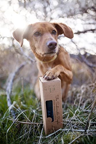 TSP Premium Bioabbaubare Hundekotbeutel mit Henkeln – OK compost HOME zertifiziert, 100% heimkompostierbar, Extra Dicke (18µm), Großrolle (160 Stück) 1 eyJrZXkiOiJ2LmJtXC9wcm9kdWN0XC8wY1wvMGM4YTQwOTUtMjdmNC01ZWRjLTliMzgtOTBlNjcwZGE5YzdmLmpwZyJ9 1 Hundeweltte Die besten Hundeprodukte & Haustierangebote