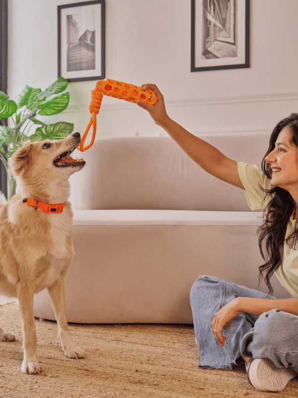 نص فقرتك نص فقرتك